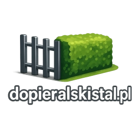 dopieralskistal.pl