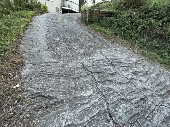 Stromy podjazd - Jaki materiał wybrać? Poradnik